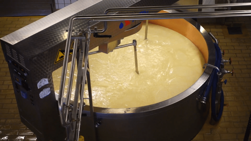Dairy Plant