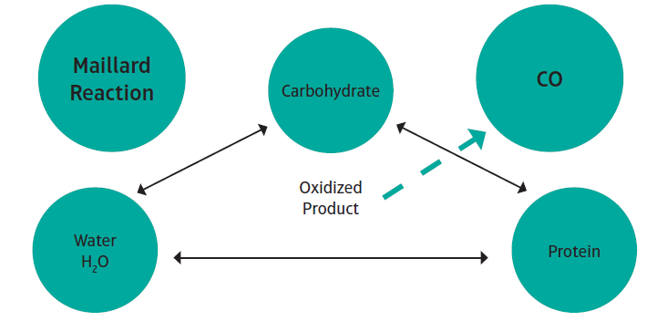 Maillard Reaction Rembe